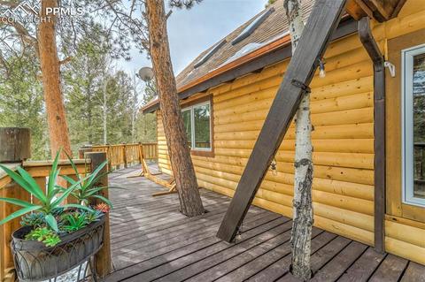 219 W Lake Dr, Divide, CO 80814 photo 44