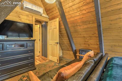 219 W Lake Dr, Divide, CO 80814 photo 30