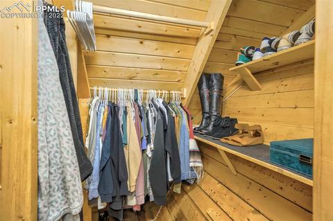 219 W Lake Dr, Divide, CO 80814 photo 31
