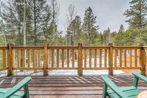 219 W Lake Dr, Divide, CO 80814 photo 37