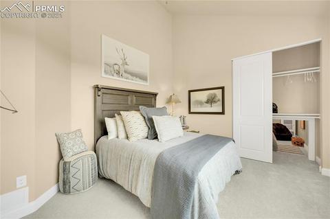 754 Long Timber Ln, Monument, CO 80132 photo 41