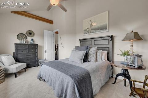 754 Long Timber Ln, Monument, CO 80132 photo 40
