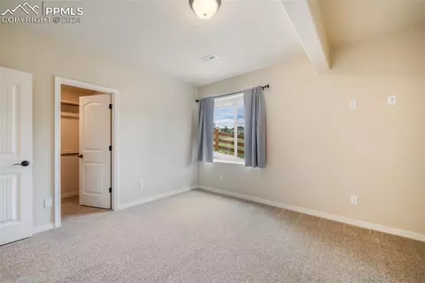 19643 Lindenmere Dr, Monument, CO 80132 photo 40