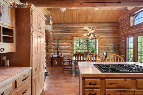 1010 Cantiberry Rd, Divide, CO 80814 photo 20