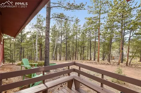 616 Spring Valley Dr, Divide, CO 80814 photo 21