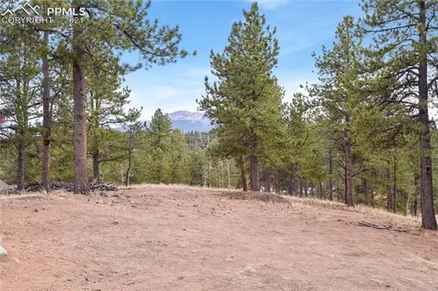 616 Spring Valley Dr, Divide, CO 80814 photo 29