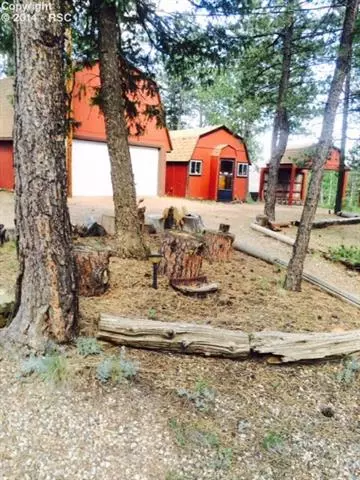 460 Spring Valley Dr, Divide, CO 80814 photo 10