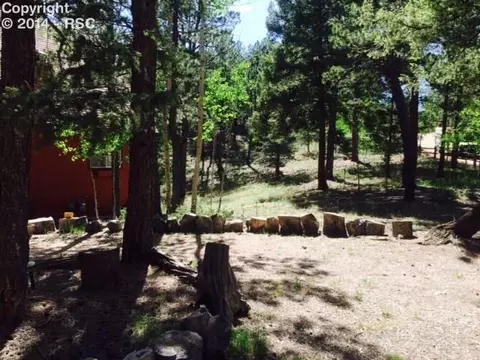 460 Spring Valley Dr, Divide, CO 80814 photo 6
