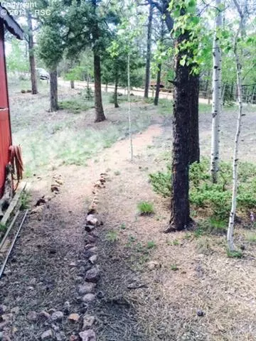 460 Spring Valley Dr, Divide, CO 80814 photo 9