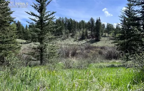 79 Trout Creek Cir, Divide, CO 80814