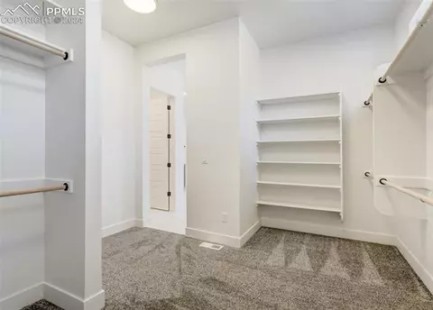 966 Panoramic Dr, Monument, CO 80132 photo 28