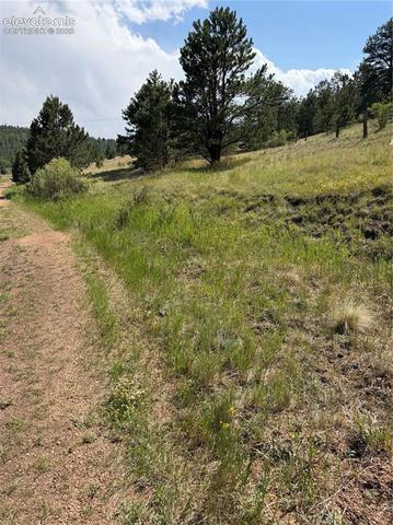 39 Rabbil Creek Trl, Florissant, CO 80816