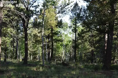 2065 County Road 512 Na Na, Divide, CO 80814 photo 3