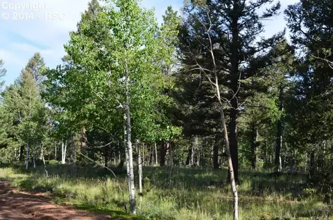 2065 County Road 512 Na Na, Divide, CO 80814 photo 1