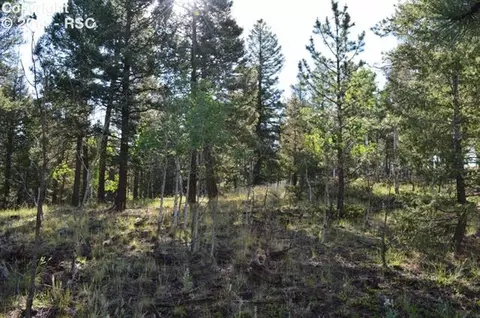 2065 County Road 512 Na Na, Divide, CO 80814 photo 2