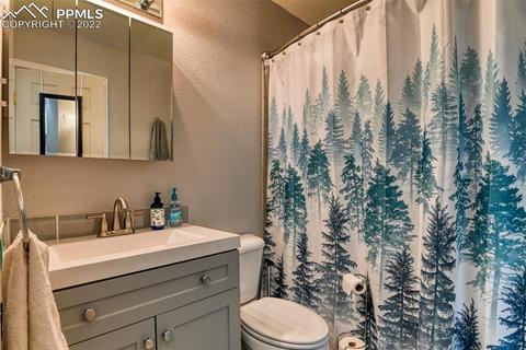 155 Spring Creek Dr, Divide, CO 80814 photo 39
