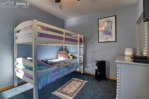 155 Spring Creek Dr, Divide, CO 80814 photo 33