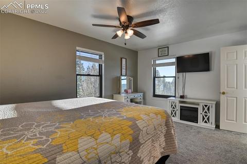 155 Spring Creek Dr, Divide, CO 80814 photo 37