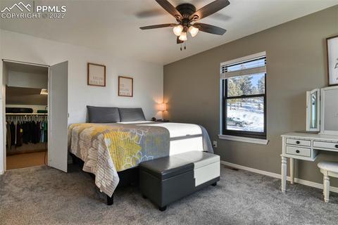155 Spring Creek Dr, Divide, CO 80814 photo 35
