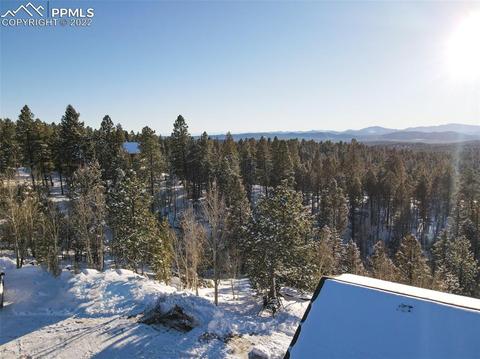 155 Spring Creek Dr, Divide, CO 80814 photo 11