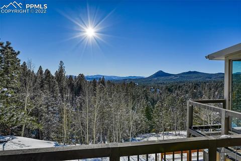 155 Spring Creek Dr, Divide, CO 80814 photo 15