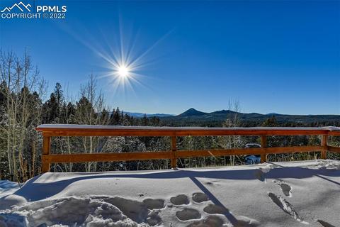 155 Spring Creek Dr, Divide, CO 80814 photo 45