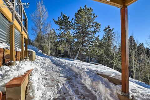 155 Spring Creek Dr, Divide, CO 80814 photo 48