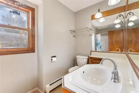 356 Spring Valley Dr, Divide, CO 80814 photo 30