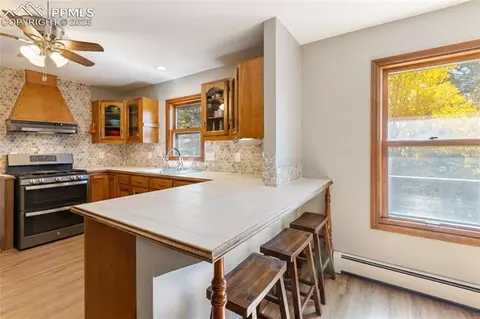 356 Spring Valley Dr, Divide, CO 80814 photo 16