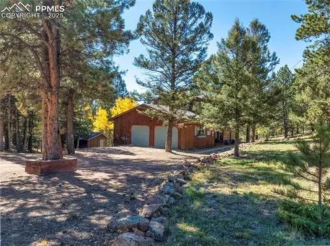 356 Spring Valley Dr, Divide, CO 80814 photo 6
