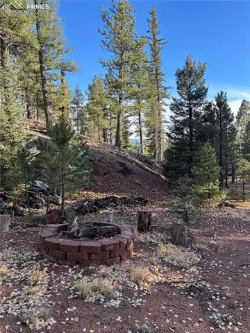 356 Spring Valley Dr, Divide, CO 80814 photo 10