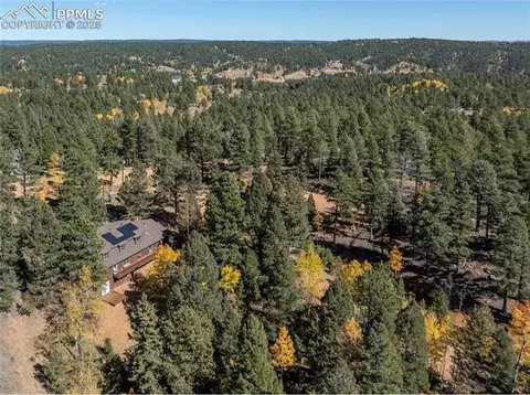 356 Spring Valley Dr, Divide, CO 80814 photo 11