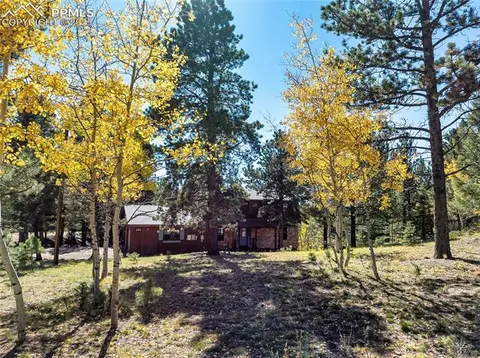 356 Spring Valley Dr, Divide, CO 80814 photo 2