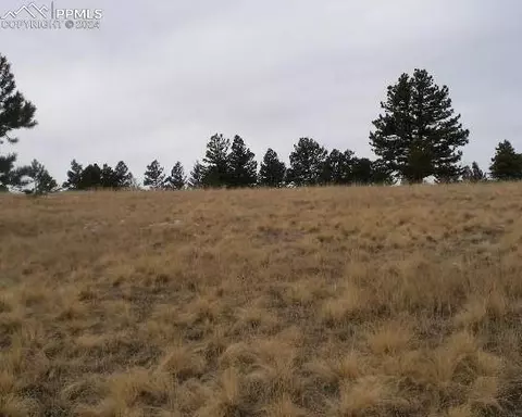 271 Moffat Cir, Cripple Creek, CO 80813