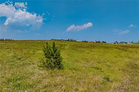 32 Grandview Cir, Divide, CO 80814 photo 10