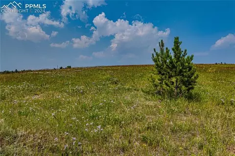 32 Grandview Cir, Divide, CO 80814 photo 7