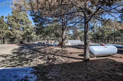 14310 Windy Pine Dr, Elbert, CO 80106 photo 32