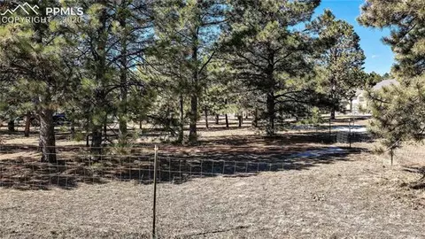 14310 Windy Pine Dr, Elbert, CO 80106 photo 28