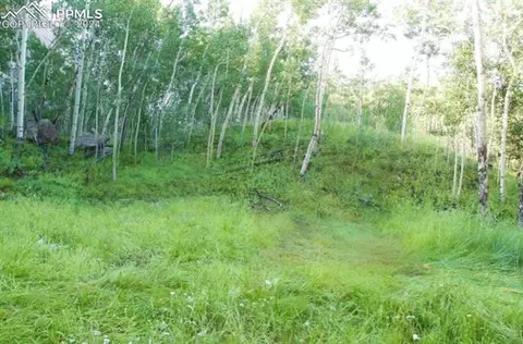 472 Buckhorn Rd, Cripple Creek, CO 80813