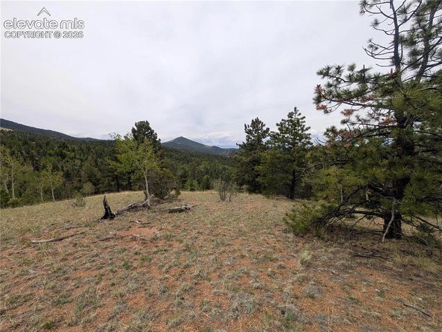 16 Princess Ln, Cripple Creek, CO 80813