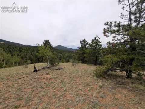 16 Princess Ln, Cripple Creek, CO 80813