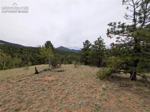 16 Princess Ln, Cripple Creek, CO 80813