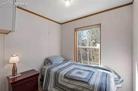 509 John Dr, Divide, CO 80814 photo 6