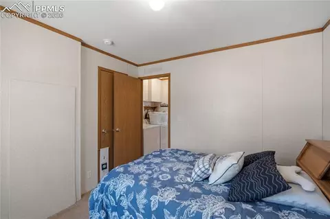 509 John Dr, Divide, CO 80814 photo 9