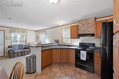 509 John Dr, Divide, CO 80814 photo 5