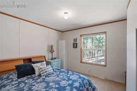 509 John Dr, Divide, CO 80814 photo 8