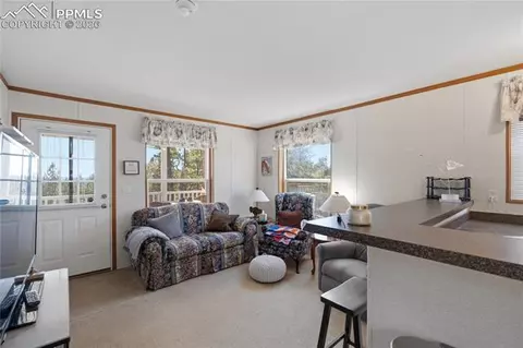 509 John Dr, Divide, CO 80814 photo 4