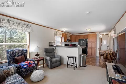 509 John Dr, Divide, CO 80814 photo 3