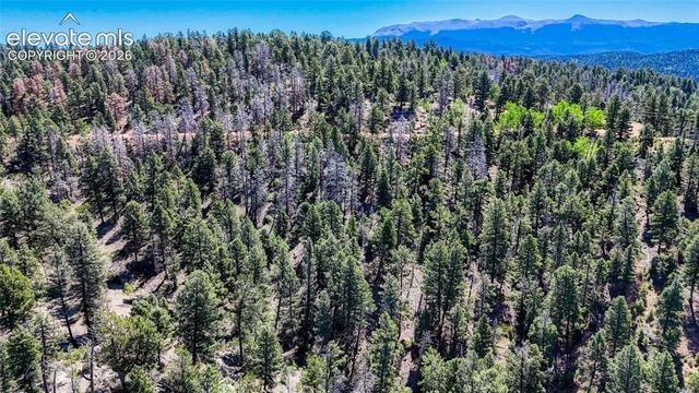 3454 N Mountain Estates Rd, Florissant, CO 80816