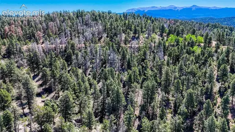 3454 N Mountain Estates Rd, Florissant, CO 80816